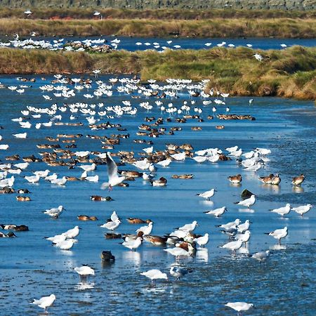 The Wind B&B Budai Εξωτερικό φωτογραφία